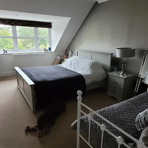 Homestay Hidden Gem